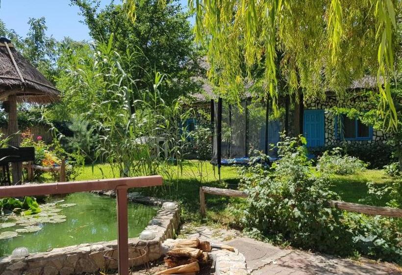 Pensiunea Iubire De Delta La Traian