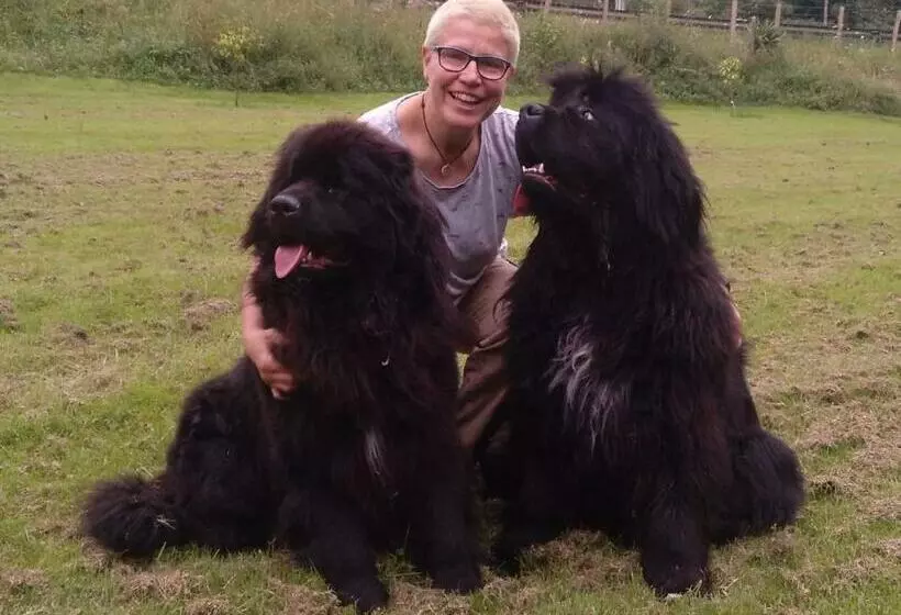 ユースホステル Posada Pet Friendly El Molino De Cantabria