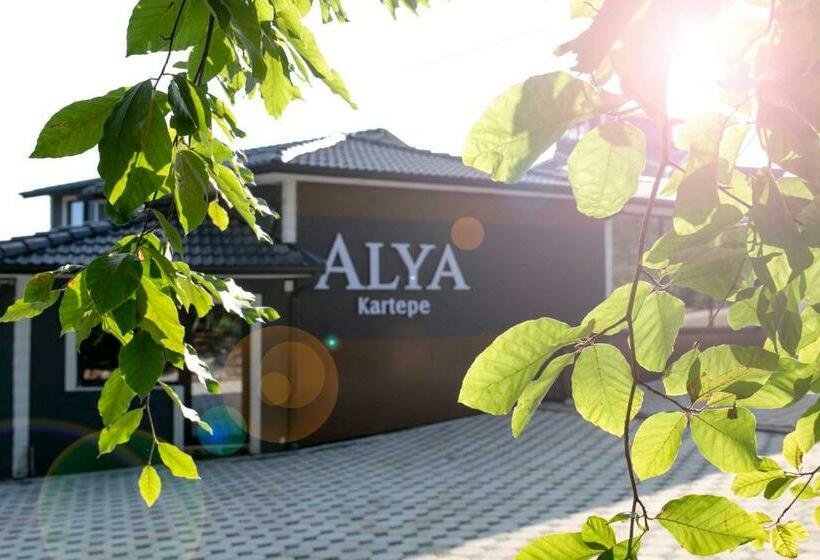 בית מלון כפרי Alya Kartepe Villa