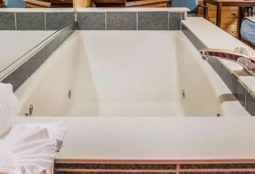 Hotelli Mackinac Lodge