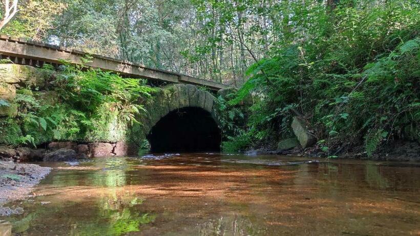 Pensión Ponte Das Febres