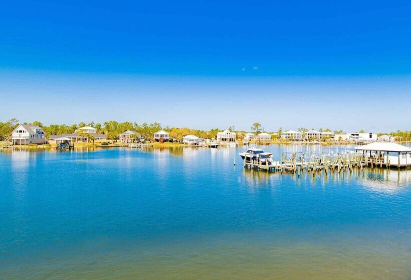 Driftwood Dreams Oba