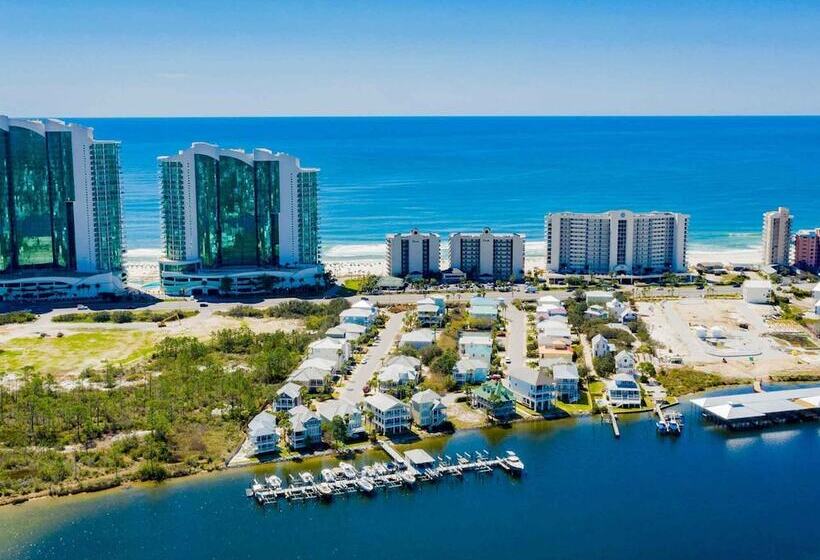 Driftwood Dreams Oba