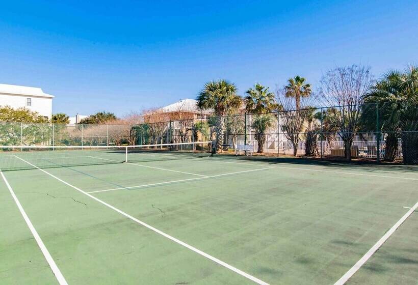 Driftwood Dreams Oba