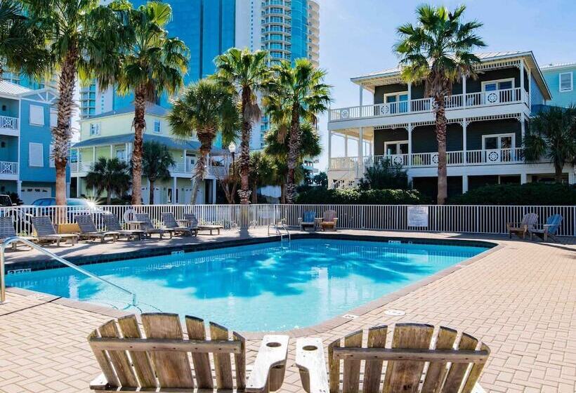 Driftwood Dreams Oba