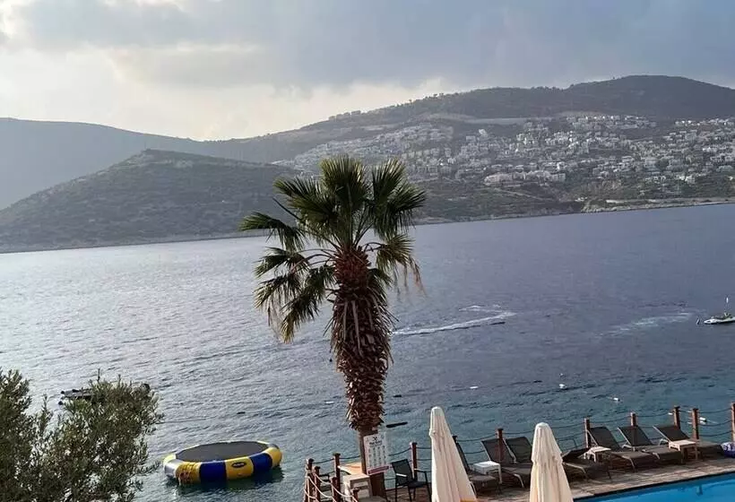 هتل Kalkan Beachpark