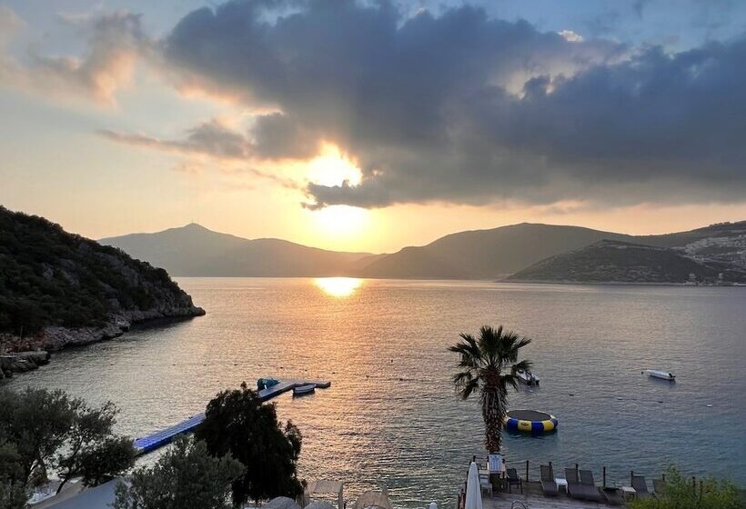 ホテル Kalkan Beachpark