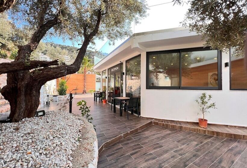 ホテル Kalkan Beachpark