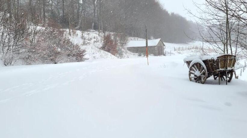 Bed and Breakfast La Table D Elodie