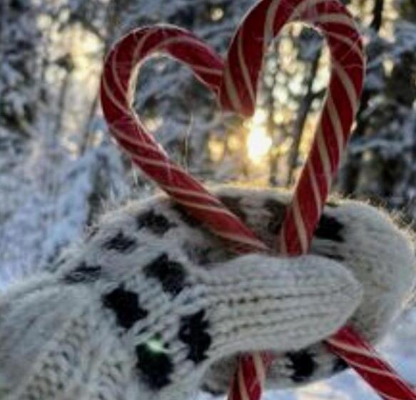 Bed and Breakfast La Table D Elodie