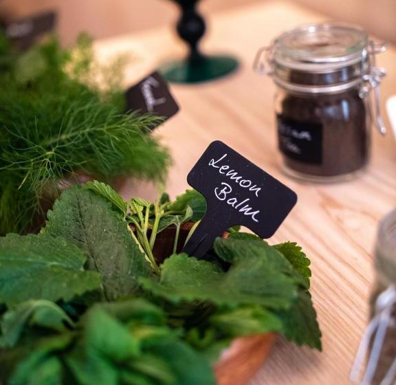 Cosy Cottage With Spa, Catering, Nature Reserve Walks, Large Garden, Free Parking   Self Checkin