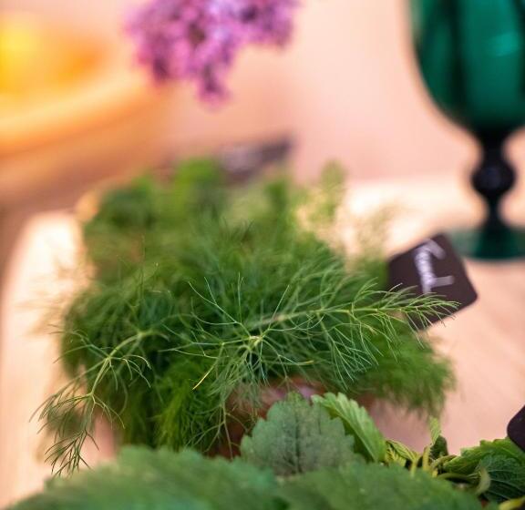 Cosy Cottage With Spa, Catering, Nature Reserve Walks, Large Garden, Free Parking   Self Checkin