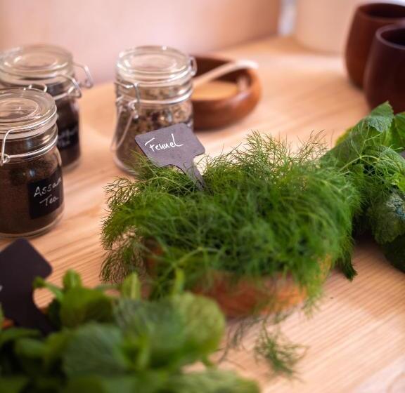 Cosy Cottage With Spa, Catering, Nature Reserve Walks, Large Garden, Free Parking   Self Checkin