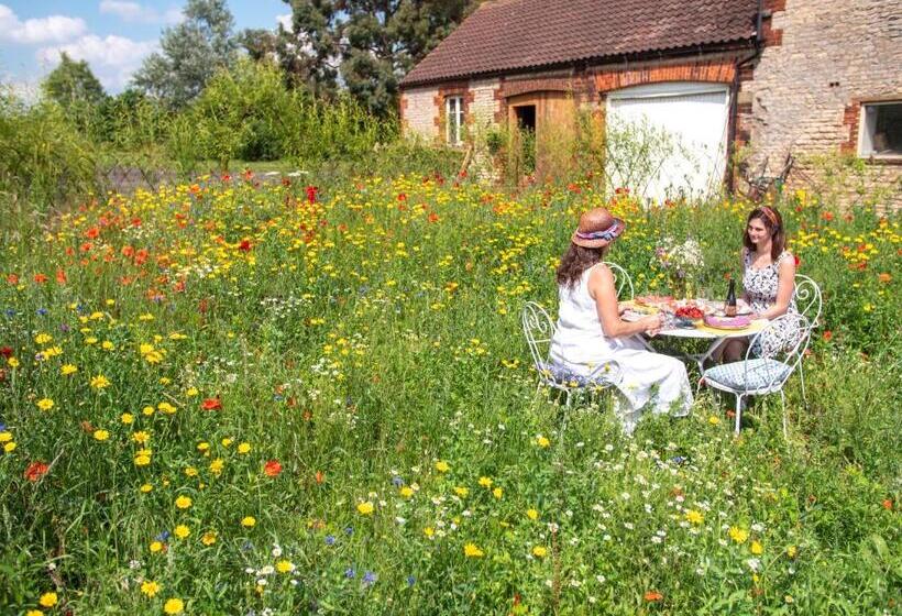 Cosy Cottage With Spa, Catering, Nature Reserve Walks, Large Garden, Free Parking   Self Checkin