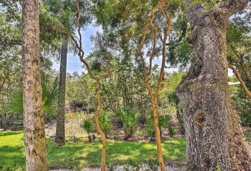 Pet Friendly New Smyrna Apartment: Walk To Beach!