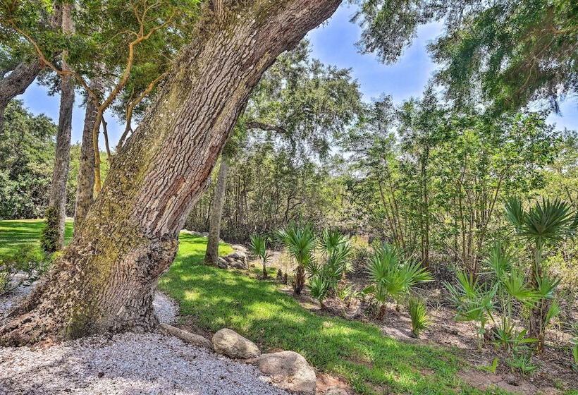 Pet Friendly New Smyrna Apartment: Walk To Beach!