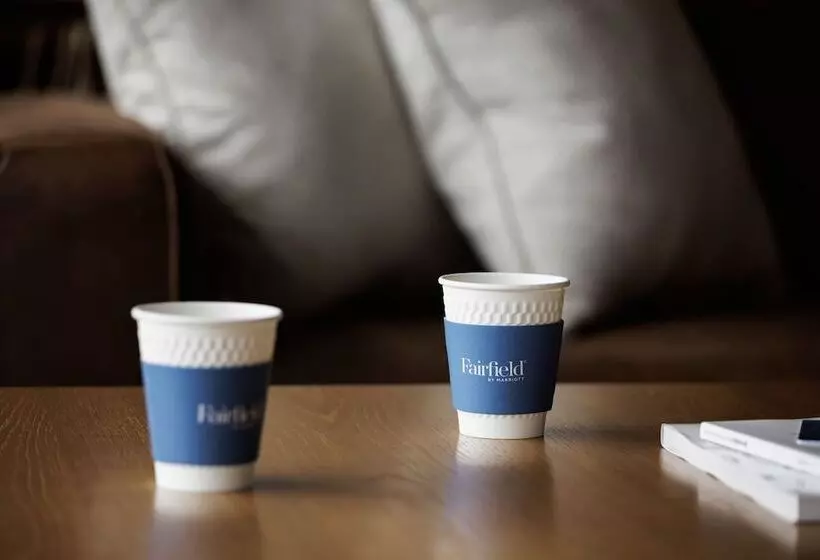 هتل Fairfield By Marriott Gifu Takayama Shirakawa Go