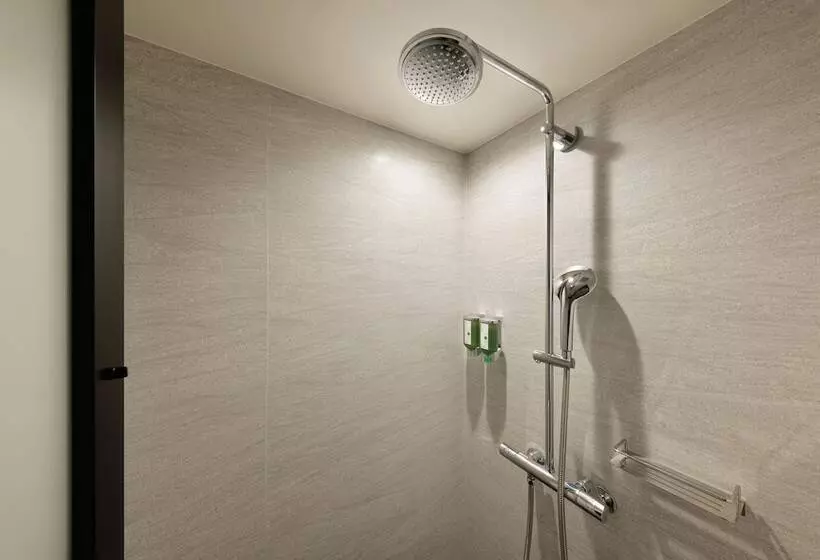هتل Fairfield By Marriott Gifu Takayama Shirakawa Go
