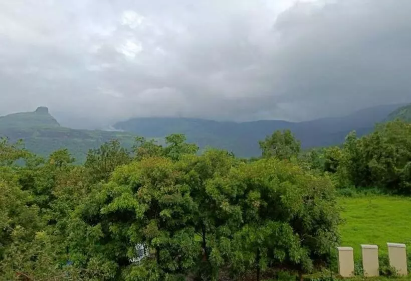 The Deck