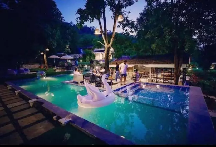 The Deck