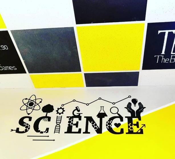 Yourhostel университет