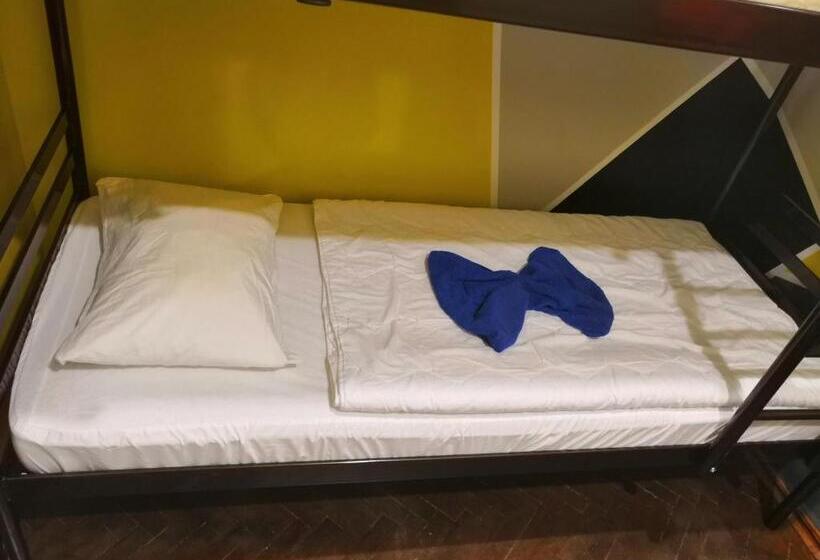 Yourhostel университет