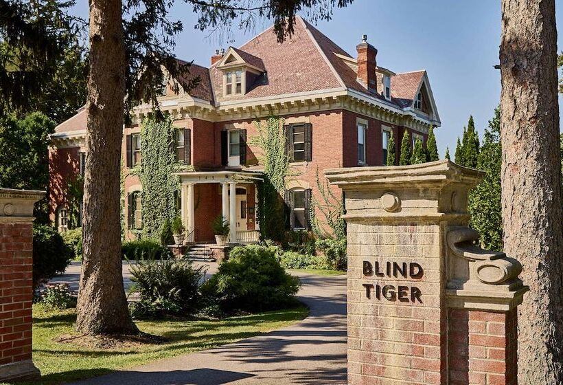 هاستل Blind Tiger Burlington