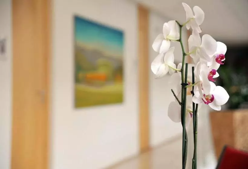 Отель Hôtel Galerie