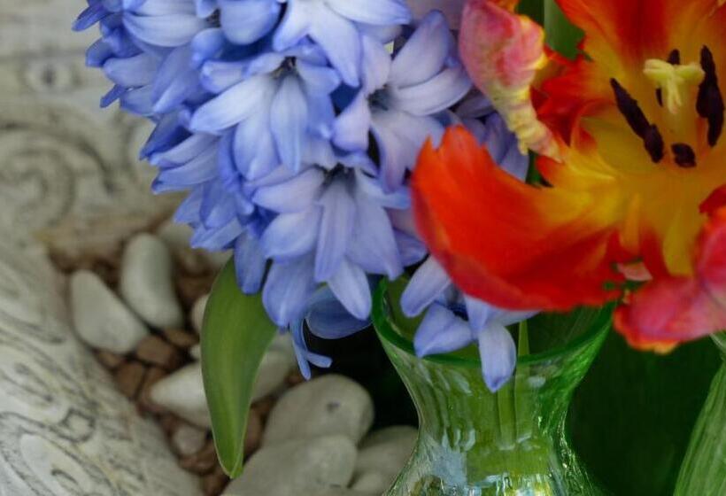 Restaurant Und Hotel Zum Weissen Ross