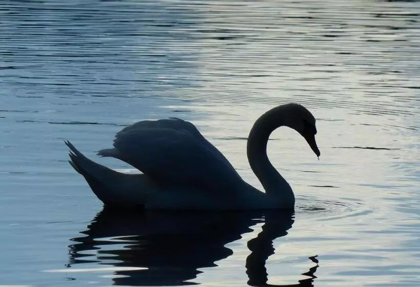 Restaurant Und Hotel Zum Weissen Ross