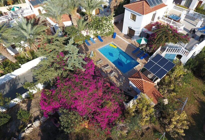 Coral Cypria Villa !!