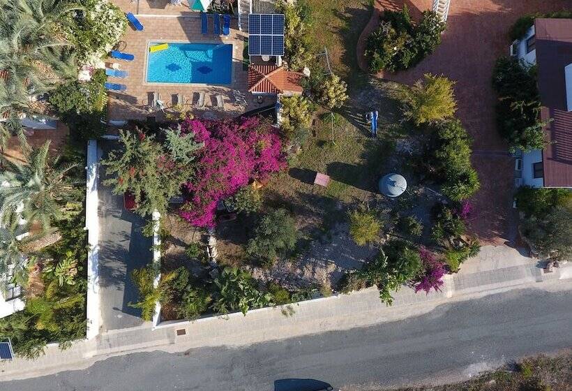 Coral Cypria Villa !!