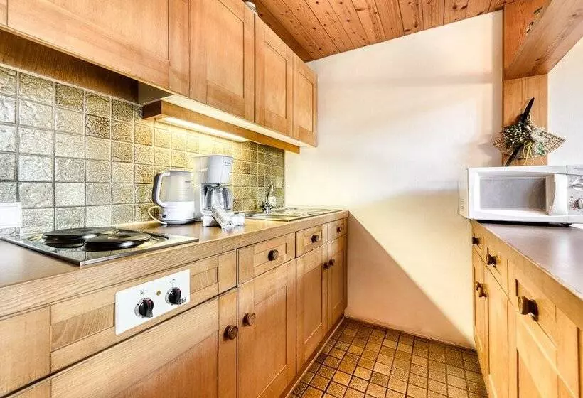 Retrowohnung Mit Bergpanorama By A Appartments