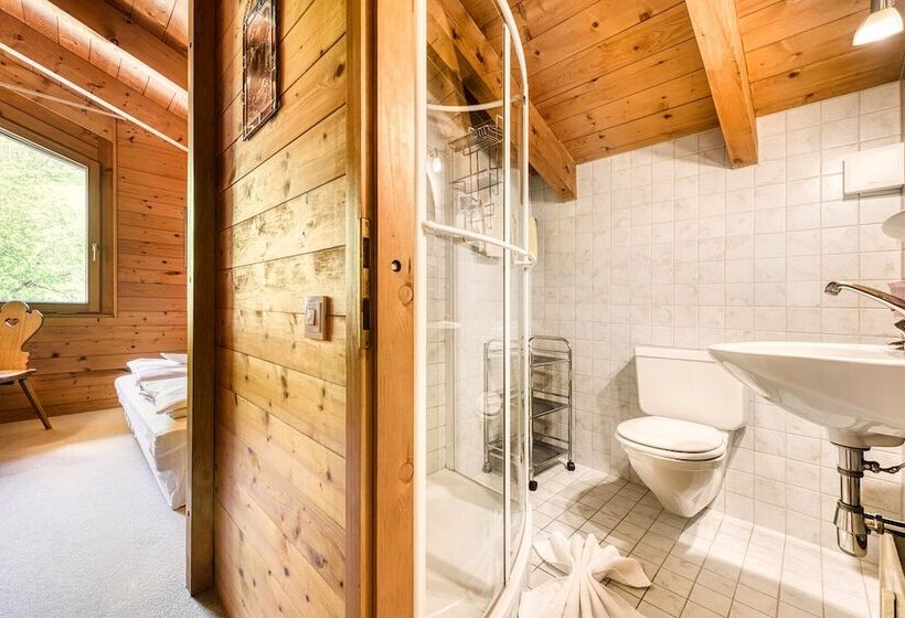 Retrowohnung Mit Bergpanorama By A Appartments