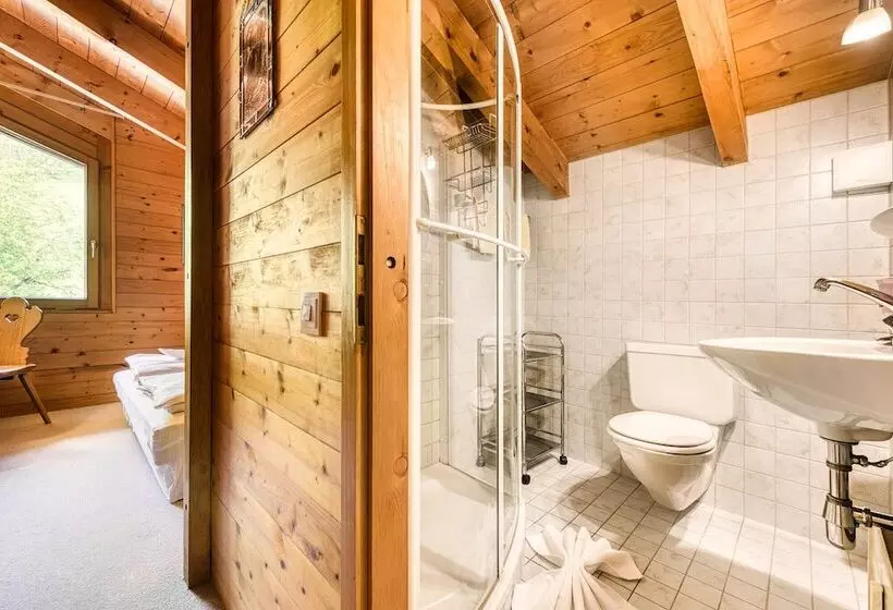 Retrowohnung Mit Bergpanorama By A Appartments