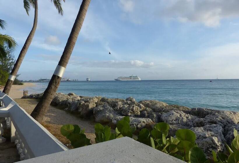 Zenbreak Freshwater Beachfront #5