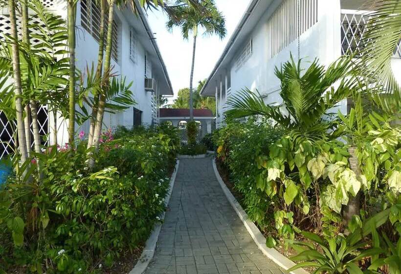 Zenbreak Freshwater Beachfront #5