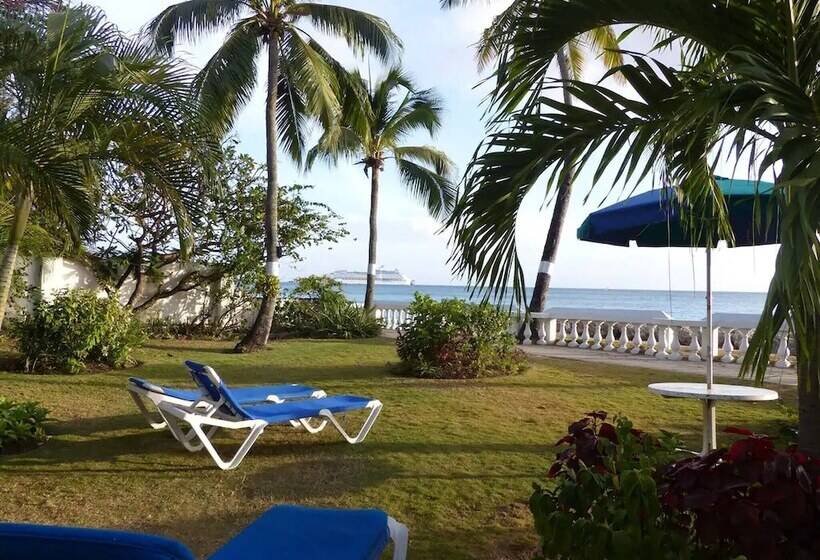 Zenbreak Freshwater Beachfront #5