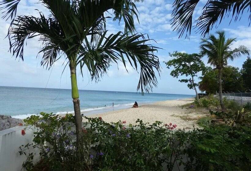 Zenbreak Freshwater Beachfront #5