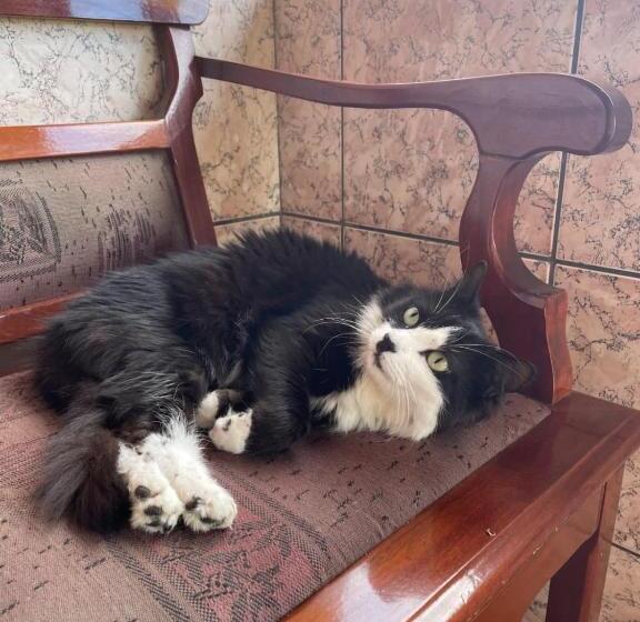 هتل Pousada Mandala Sana