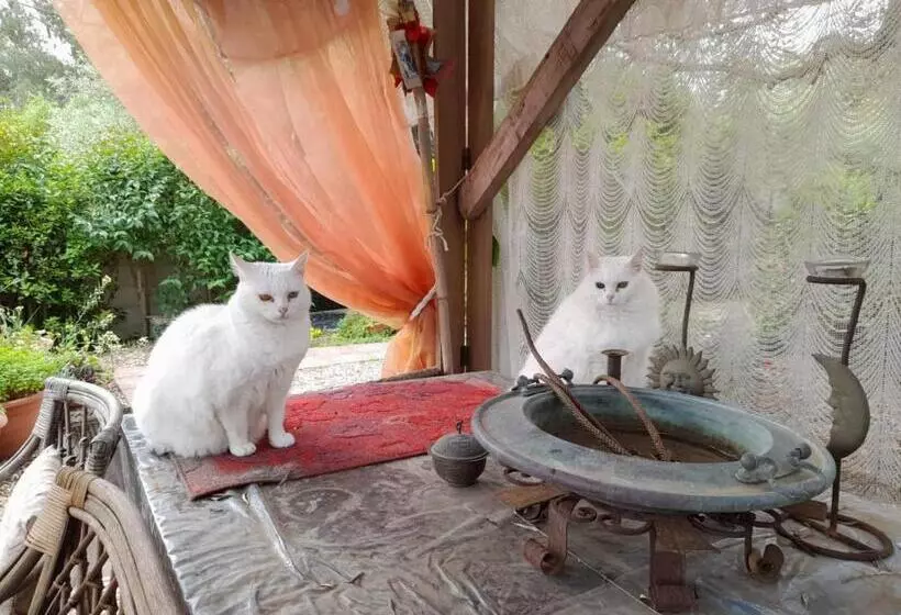 پانسیون La Restanza