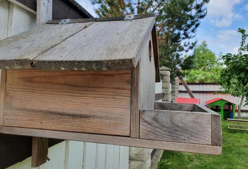 پانسیون Surf Inn