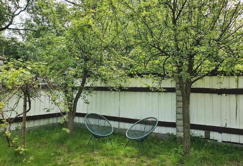 پانسیون Surf Inn