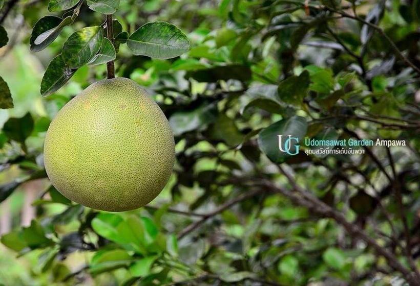 膳宿费 บ้านสวนอุดมสวัสดิ์ อัมพวา