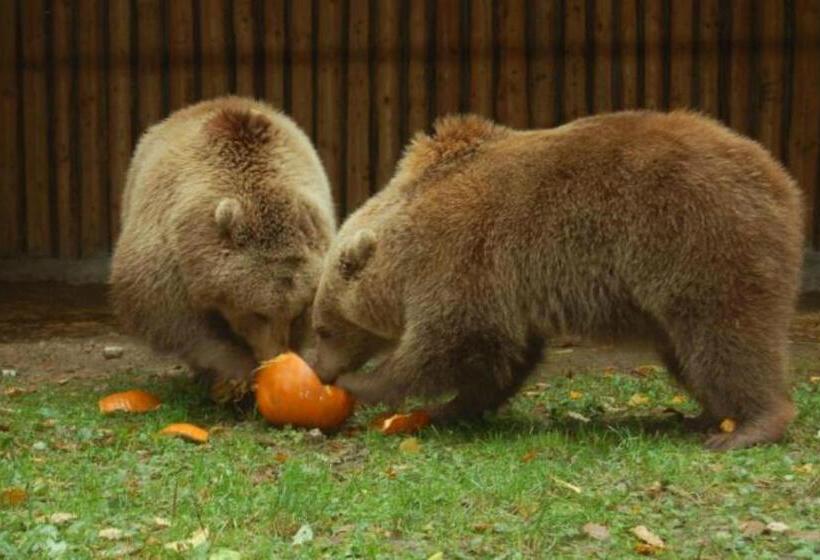 Alfa Hotel & Wellness Miskolctapolca