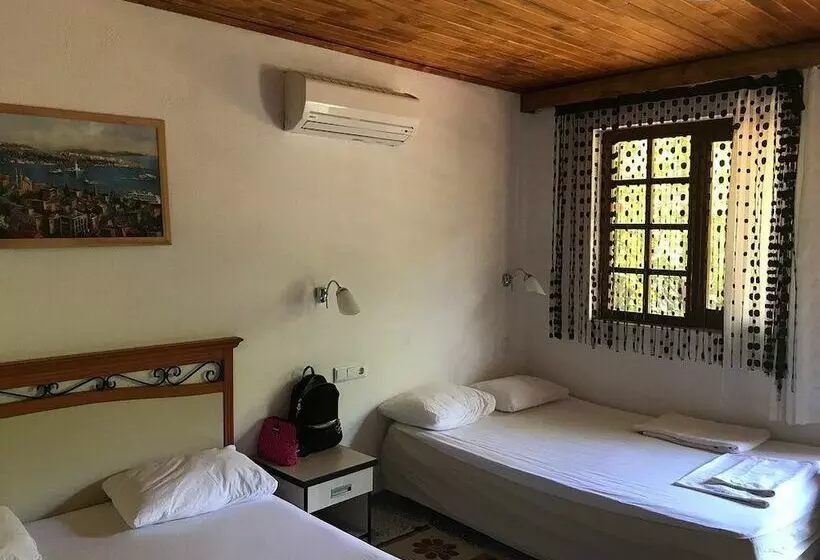 ホテル Arya Holiday Houses