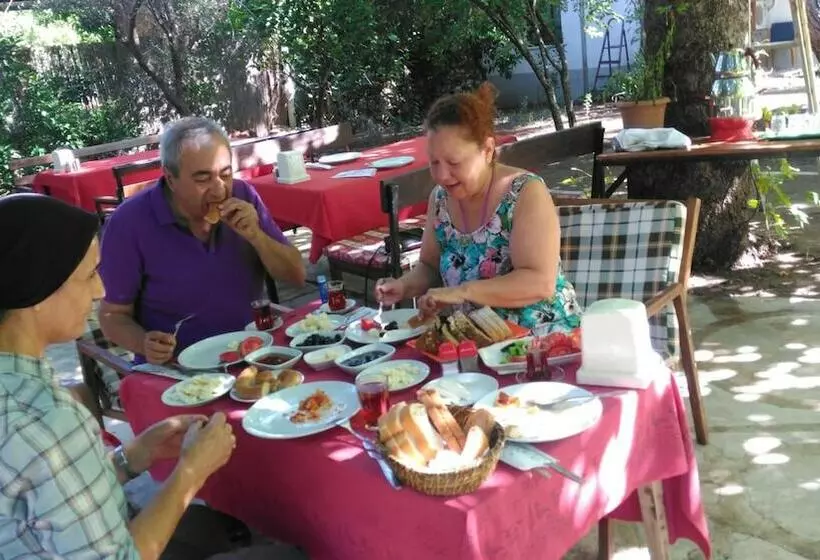 ホテル Arya Holiday Houses