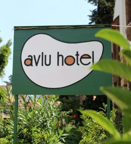 Отель Avlu