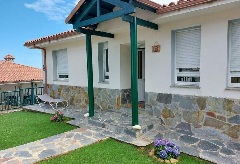 El Gato Gordo   Bike & Surf Hostel