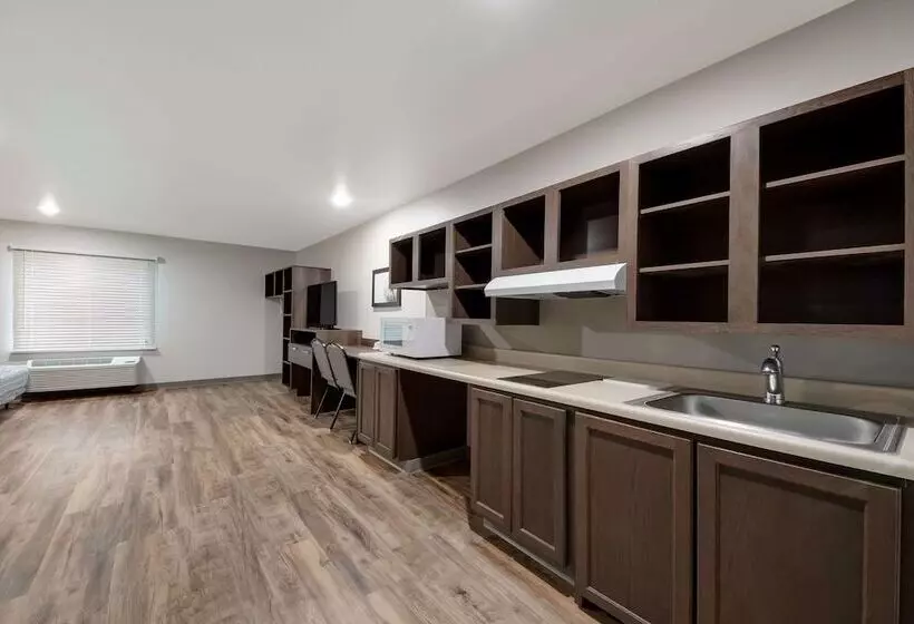 هتل Woodspring Suites San Antonio Utsa   Medical Center